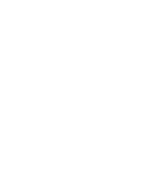 Energy Security Logo